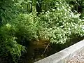 Nine Mile Run crossing Route 27
