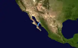 Track map plotting the path of Tropical Depression Nineteen-E across the Gulf of California from September 19–20