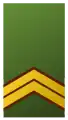 Sergeant-majoor(Royal Netherlands Army)