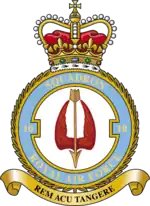 Squadron badge