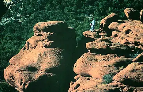 A climber above the Shelf Road