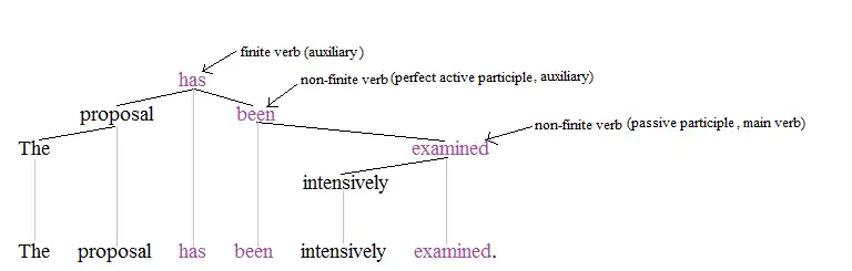 Nonfinite tree 1+'