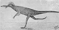 Illustration of "a running Pro-Avis" as envisioned by Franz Nopcsa in 1907 after having seen the Pycraft restoration "One of the Pro-Aves".