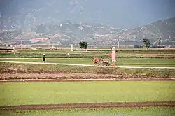 Chŏnsam Cooperative Farm, Anbyŏn