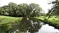 Pond on North Middlesex Golf Course