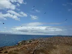 North Seymour Island in the Galápagos, Daphne Island is in the distance.