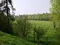 North from Chedworth Woods footpath