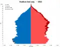 Northern Irish only identity