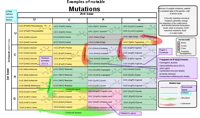 Image 26Selection of disease-causing mutations, in a standard table of the genetic code of amino acids (from Mutation)