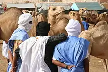 Image 14Camel market in Nouakchott (from Mauritania)