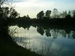 The Piave River at Ca' Memo, in the municipality of Noventa di Piave.