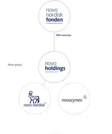 Constellation of ownership in Novo Nordisk Foundation