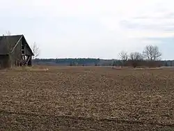 Field in Nurmsi with Iron Age tarand graves in the distance