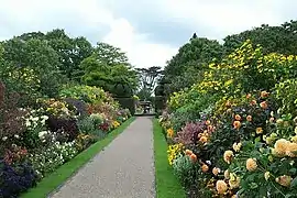 Mixed borders of perennials and annuals in midsummer