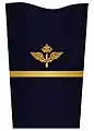 Mess jacket sleeve insignia for a second lieutenant(?–present)