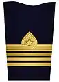 Sleeve insignia