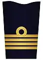 2. Sleeve insignia for a commander (–2003)