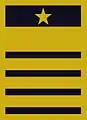 Flight suit sleeve insignia