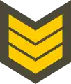 Kiçik çavuş(Azerbaijani Land Forces)