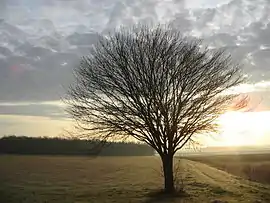 The February landscape of Varennes