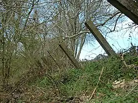 Anti-tank posts each about 8 inches (20 cm) square and projecting about 6 feet (1.8 m), made from reinforced concrete, at the top of the eastern side of a steep railway cutting. They were intended to stop enemy tanks climbing the steep side of the cutting.