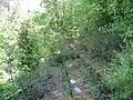 Overgrowth covers the remains of the grandstand