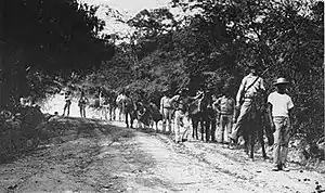 Image 17United States Marines and a Haitian guide patrolling the jungle in 1915 during the Battle of Fort Dipitie (from History of Haiti)