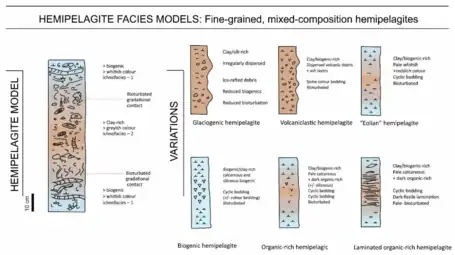 Hemipelagite facies modelsStandard model showing simple cyclicity between clay-rich and biogenic-rich parts. Variations depend on component inputs.