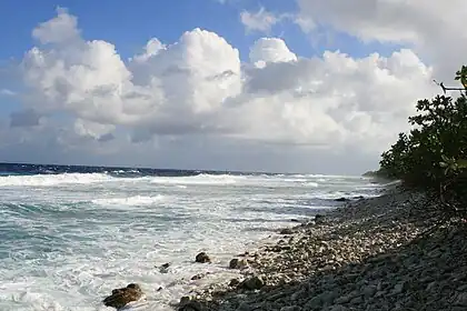 Image 2Ocean side of Funafuti atoll showing the storm dunes, the highest point on the atoll. (from History of Tuvalu)