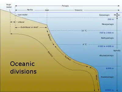 Image 14Oceanic fish inhabit the oceanic zone, which is the deep open water which lies beyond the continental shelves. (from Pelagic fish)