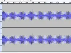 Sonograph of male stridulating