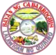 Official seal of Cabarroguis