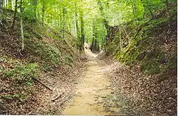 The old path of the "Natchez Trace", where, between 1799 and 1803, Peter Alston, Wiley "Little" Harpe and the Samuel Mason Gang committed highway robbery and murder against unsuspecting travelers.