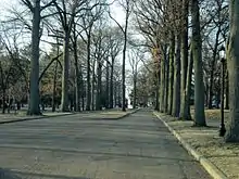 Tree-lined entrance of the Lindenwood University