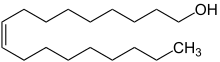 Structural model of oleyl alcohol