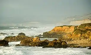 Pescadero State Beach