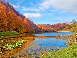 Ordu Gölköy