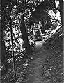 *Trail to Guide Dorm