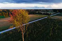 Road through Oriküla