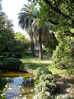 The Orto botanico di Pisa