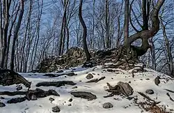 Ruins of Ostrężnik Castle in winter