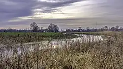 Landscape near Lucaswolde