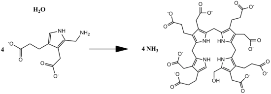 Overall reaction of PB deaminase