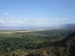 Large lake into horizon center and left, forested cliffs to right, forest in foreground.