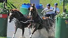 Two-horse carriage with two drivers splashing through water