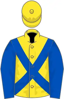 Yellow, dark blue cross belts and sleeves