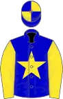 Blue, yellow star and sleeves, quartered cap