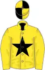 Yellow, black star, quartered cap