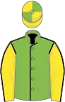 Light green body with black seams, yellow arms with black seams, yellow cap with light green quartered