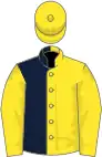 Yellow and dark blue (halved), yellow sleeves and cap